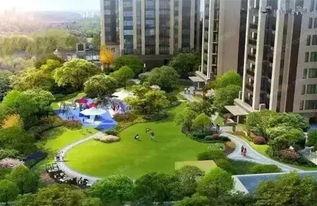 成都公园爆料视频大全,探寻城市绿洲中的生活百态